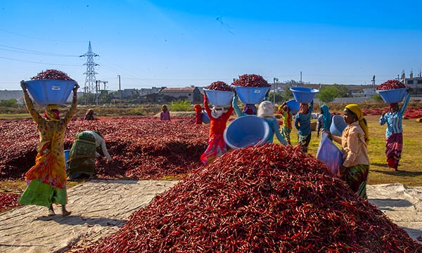 Mahesh Lonkar Photography