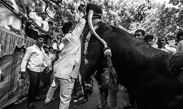 Mahesh Lonkar Photography