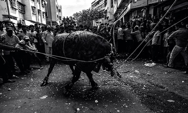 Mahesh Lonkar Photography