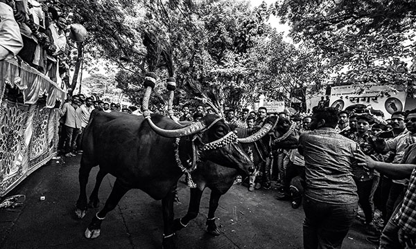 Mahesh Lonkar Photography