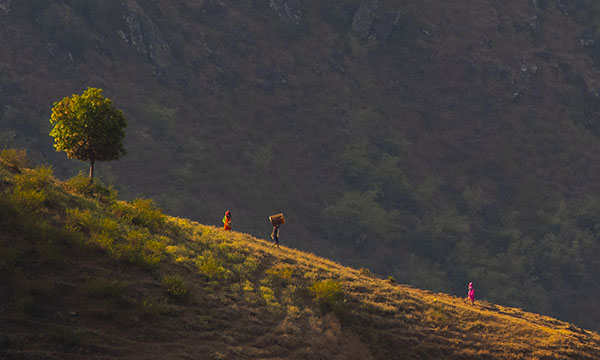 Mahesh Lonkar Photography