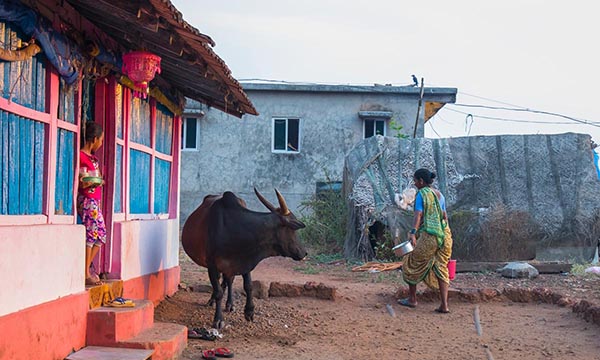 Mahesh Lonkar Photography