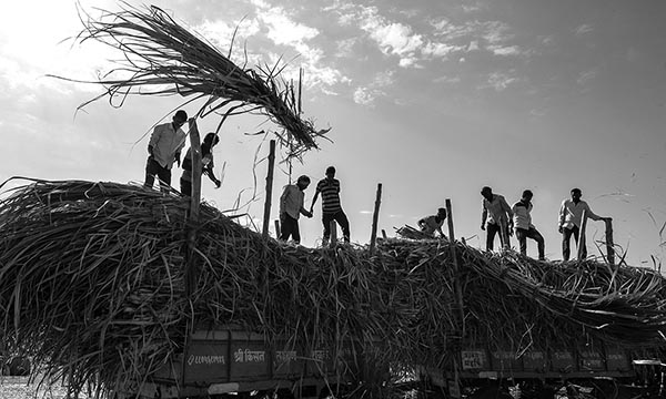 Mahesh Lonkar Photography