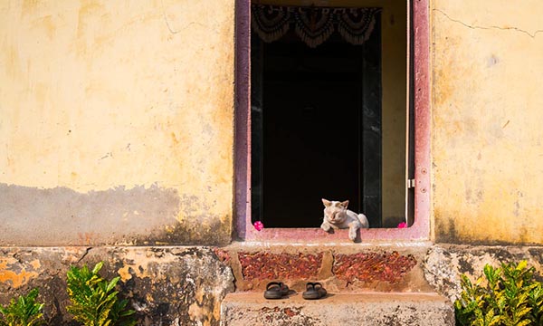 Mahesh Lonkar Photography